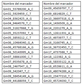 Imagen 1 de la Resolución 228/2018. Descripción del contenido visual no disponible