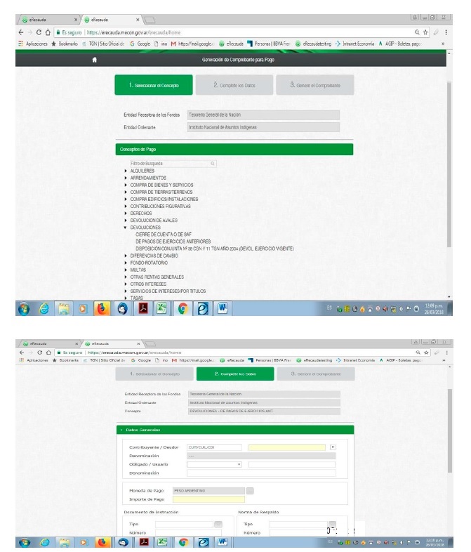 Imagen 13 de la Resolución 22 / 2025. Descripción del contenido visual no disponible