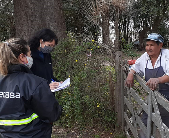 Proyectos territoriales de agricultura familiar en producción vegetal en Buenos Aires Norte