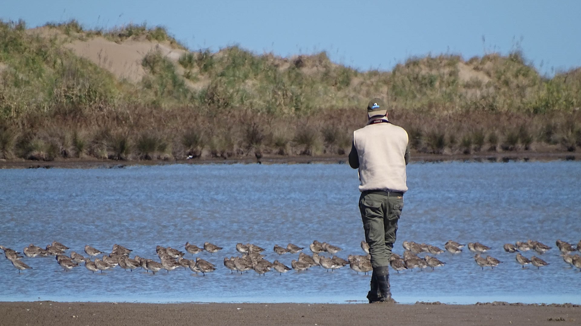 Avistaje de aves, Reserva Punta Rasa