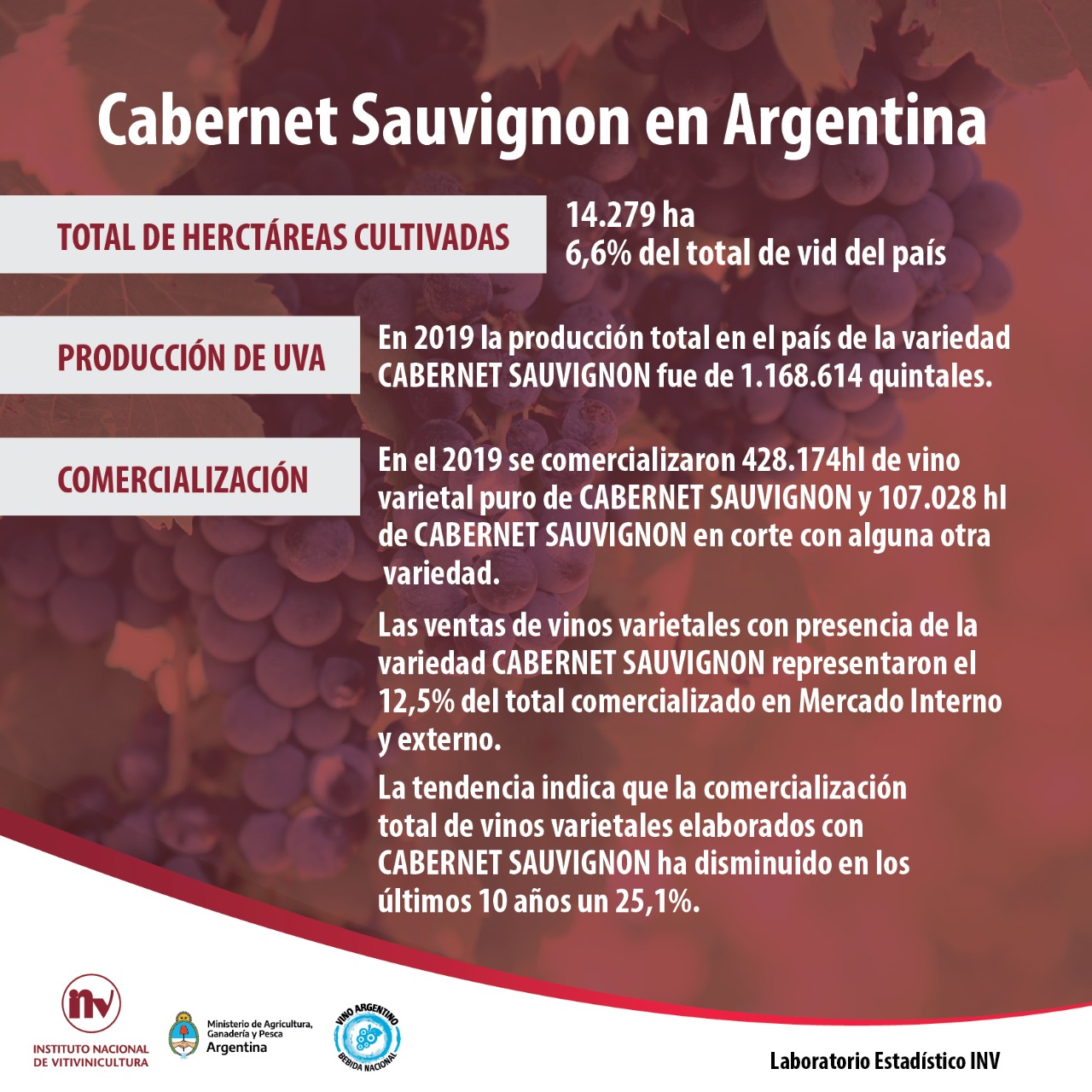 Informe de Variedad: Cabernet Sauvignon, su actualidad en Argentina