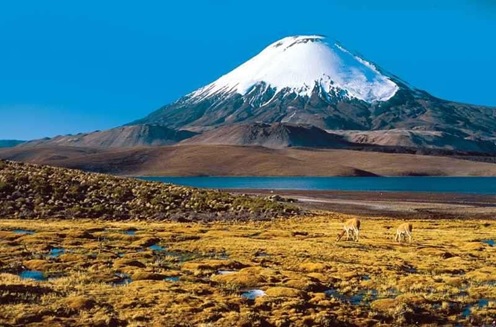 Figura 2: Volcán Nevado Ojos del Salado (cordillera de los Andes)