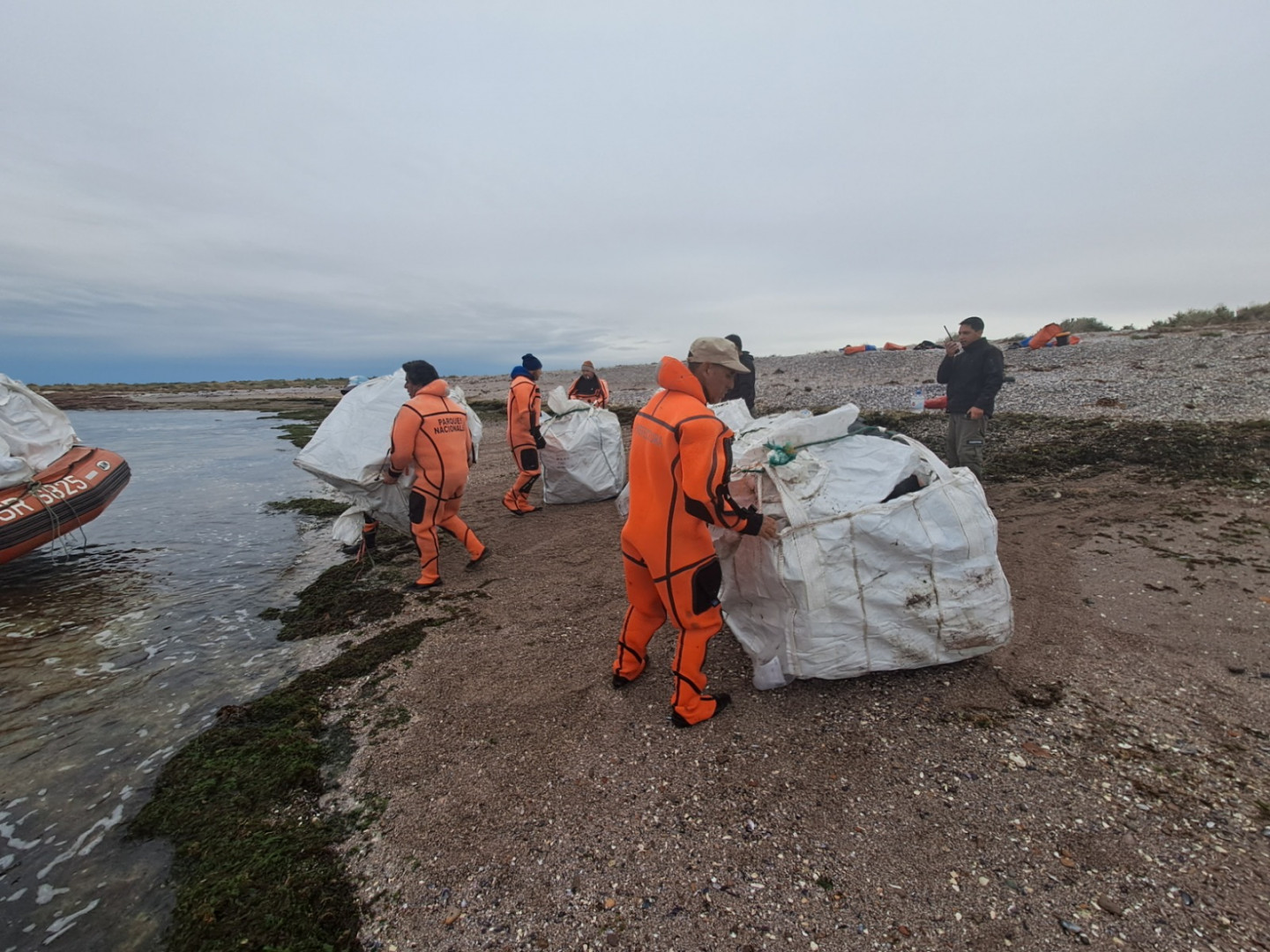 Colaboramos con la limpieza de residuos plásticos en Isla Tova y Tovita | Argentina.gob.ar