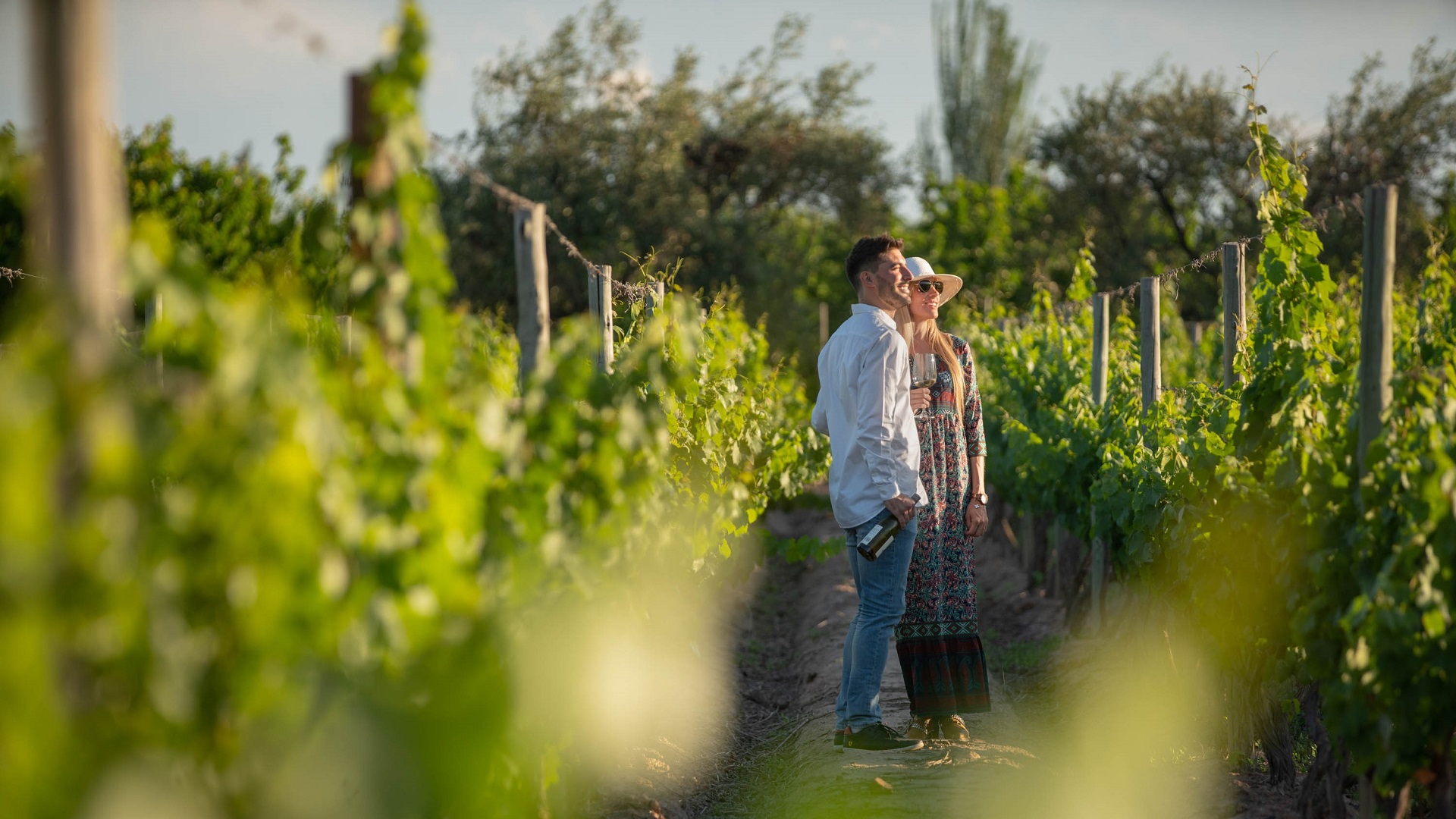 Viñedos Mendocinos Viñedos Mendocinos