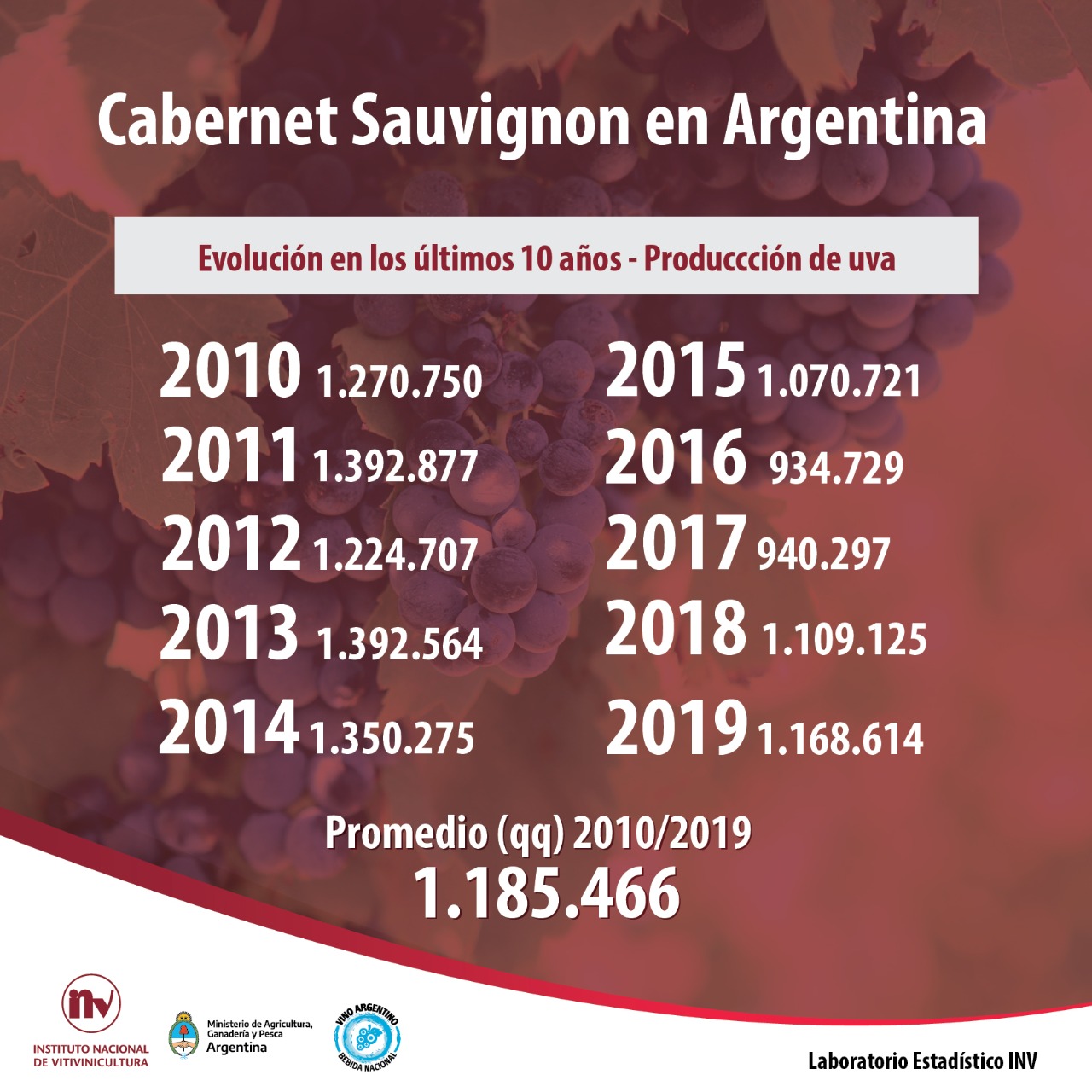 Informe de Variedad: Cabernet Sauvignon, su actualidad en Argentina