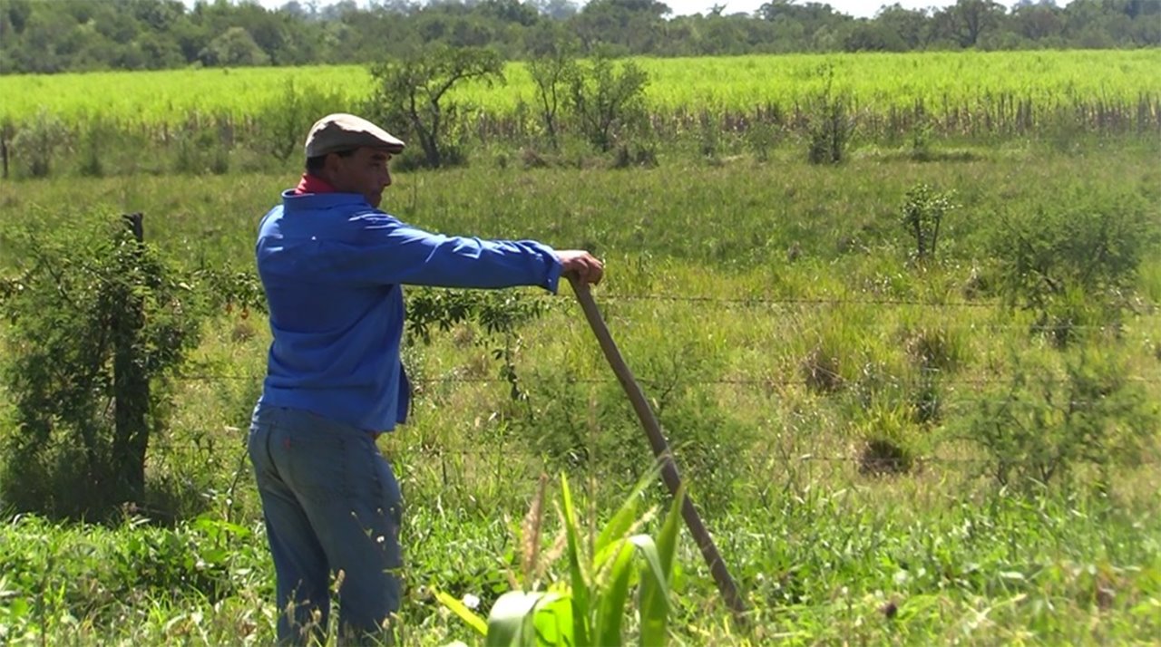 Paz: "El Senasa acompa&ntilde;a y reconoce el rol estrat&eacute;gico de la Agricultura Familiar"