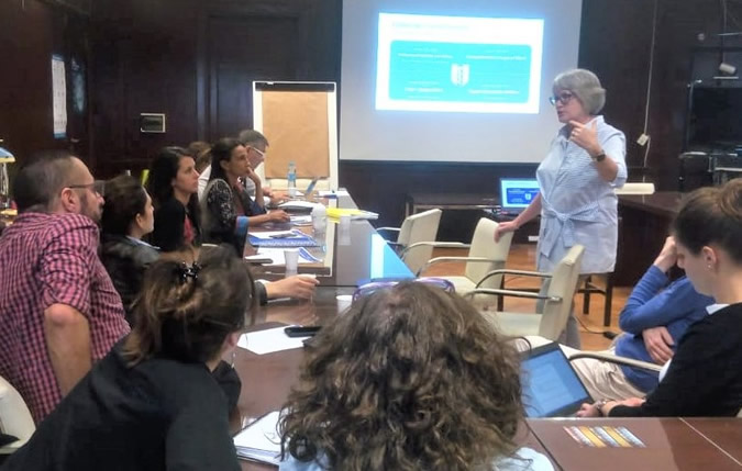 Consultoría sobre la formación en medicina familiar y la atención primaria en Argentina