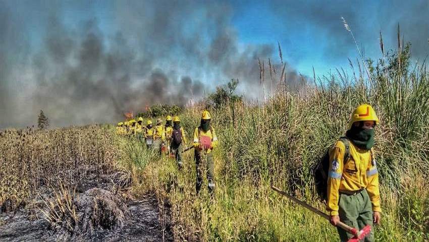 Brigadistas de la Base Naval Zárate ayudaron a combatir el incendio de ...