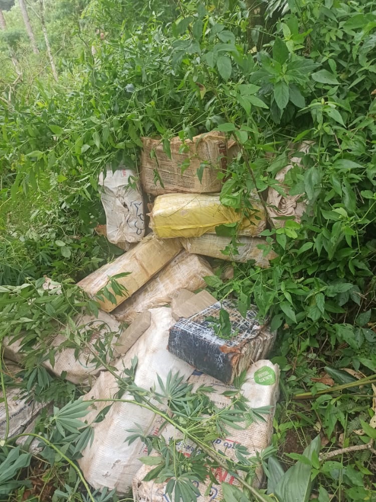 Patrullaje de la Fuerza descubre 759 kilos de marihuana ocultos entre la  maleza | Argentina.gob.ar