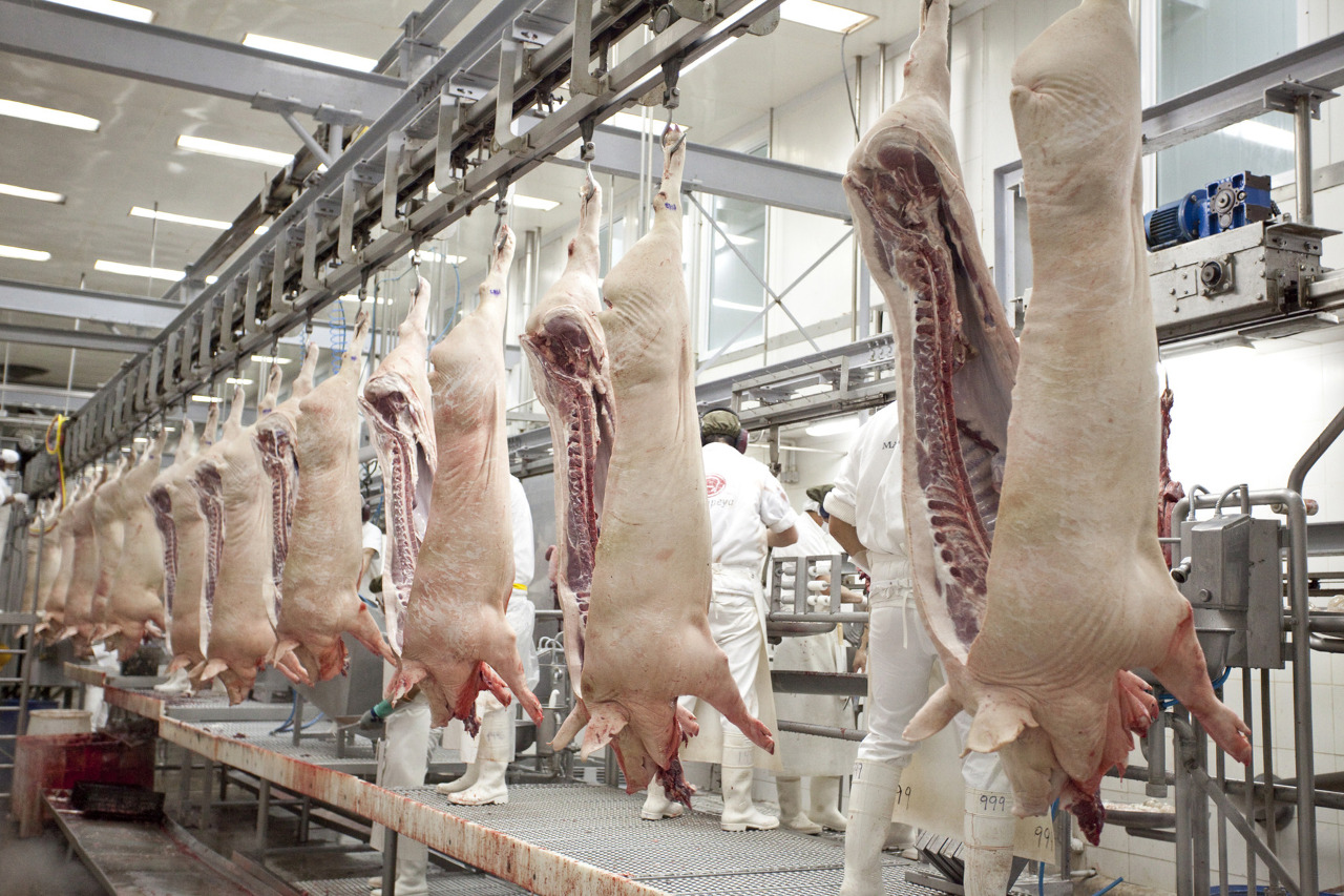 Nuevo mercado: Singapur habilita la importación para la carne y productos porcinos argentinos | Argentina.gob.ar