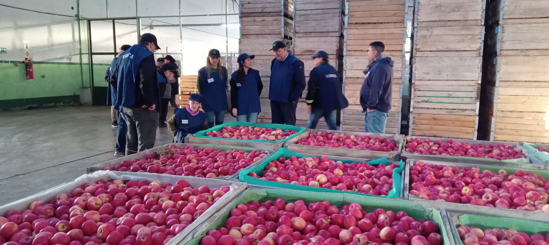 Estados Unidos audit&oacute; los controles sanitarios argentinos para la exportaci&oacute;n de frutas y reforz&oacute; la cooperaci&oacute;n bilateral