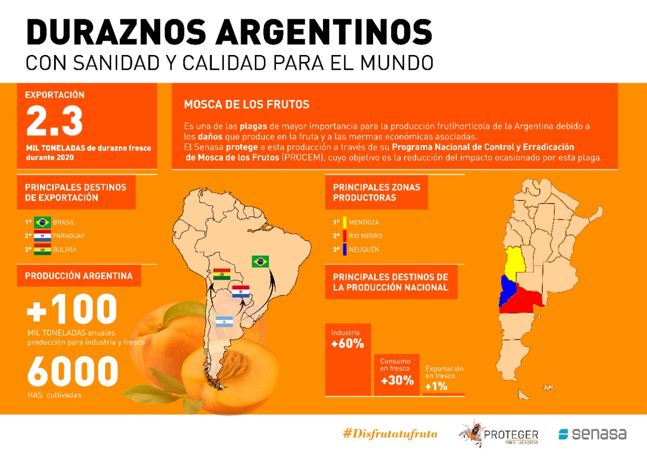 Duraznos argentinos con sanidad, inocuos y de calidad para consumidores del mundo