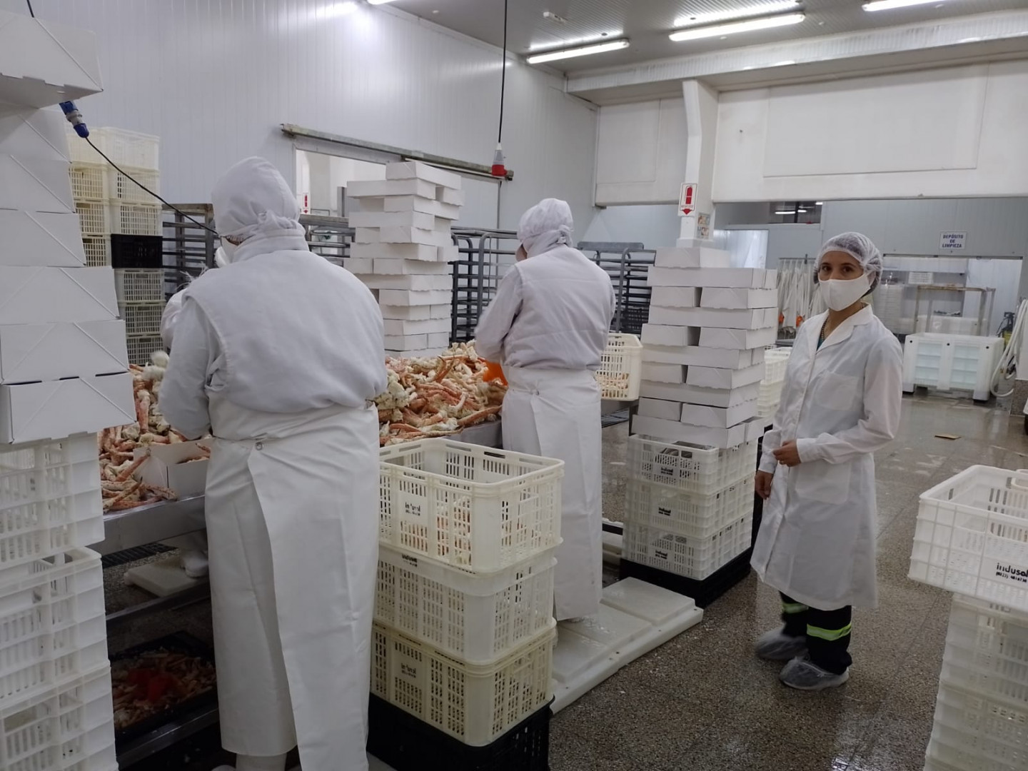 Puerto san julian: first export of king crab to the united states for direct consumption