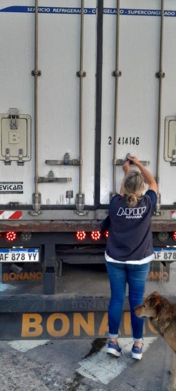 Chubut: Se hizo retornar a origen 20 toneladas de salmón enfriado no aptos para el consumo