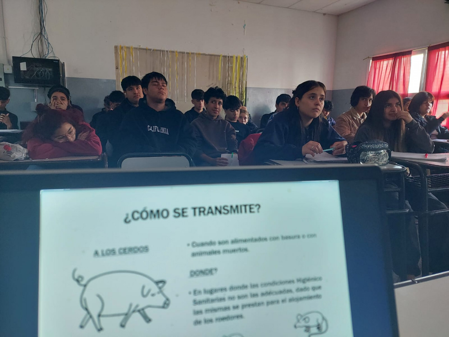 Texto alternativo 1