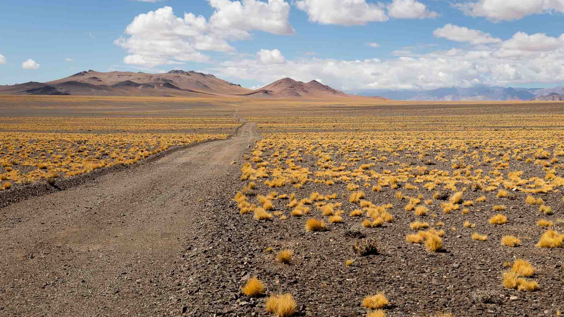 Camino dentro del Parque Nacional San Guillermo