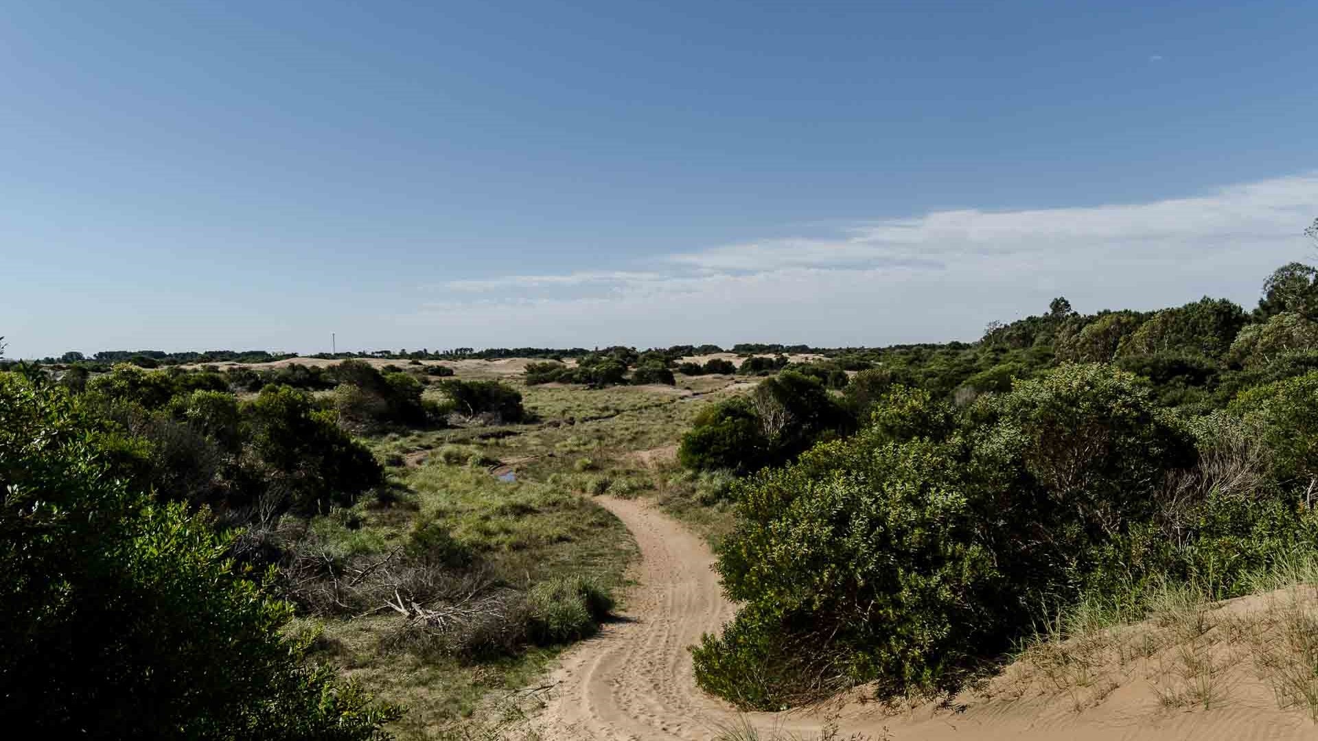 Sendero en la Reserva Faro Querandí, Mar Azul