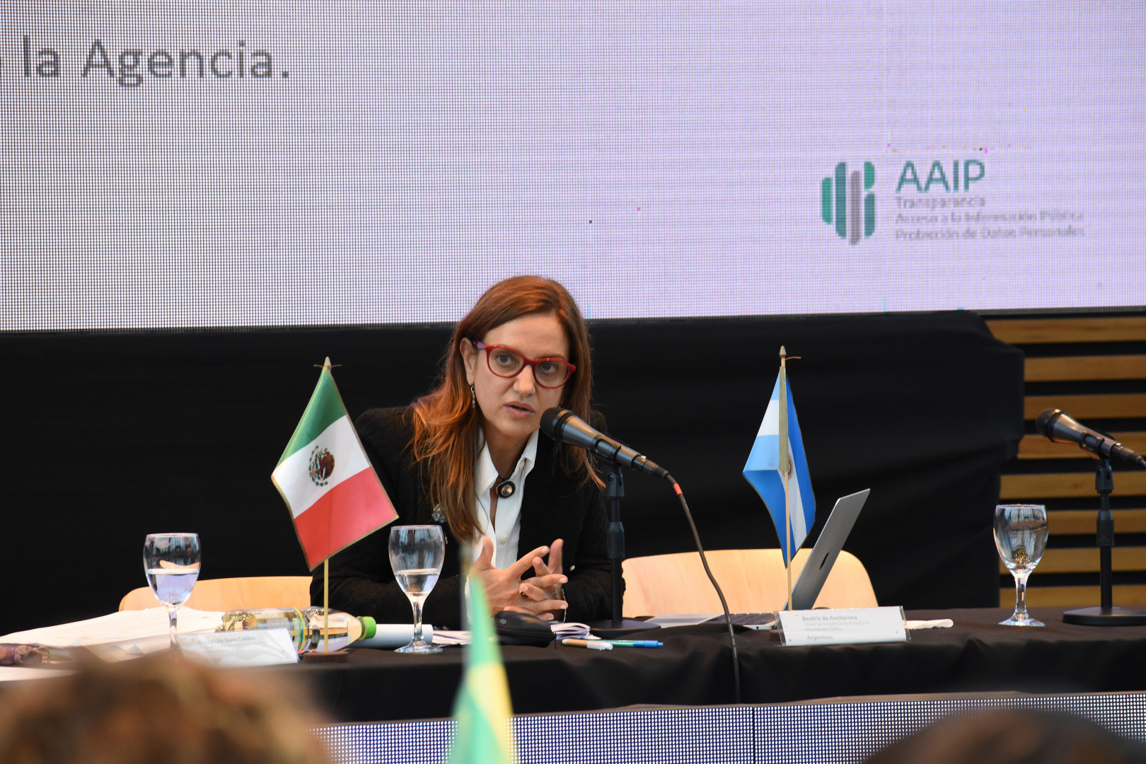 Beatriz Anchorena presenta el plan estratégico