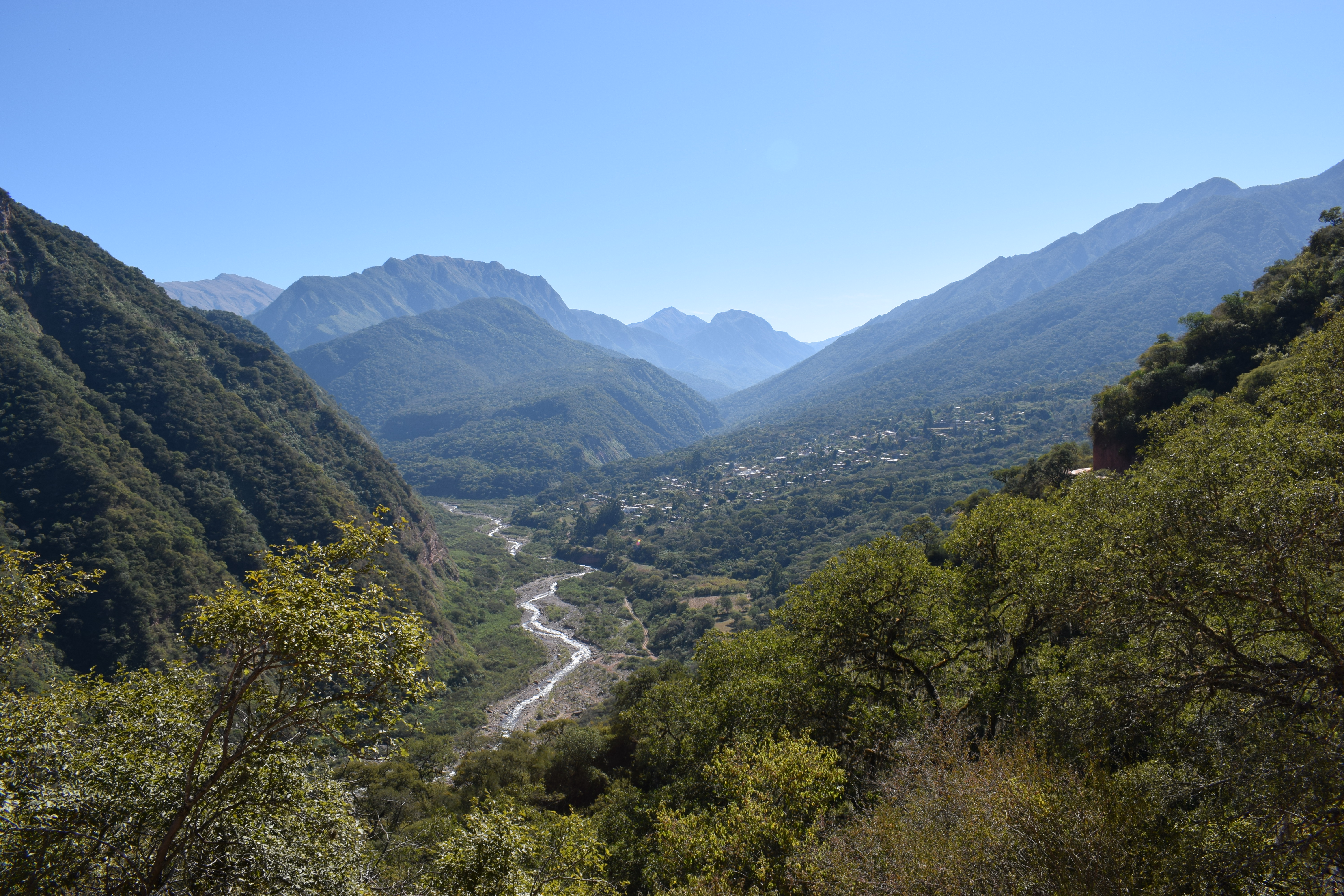 Foto: imagen de yungas. Provincia de Jujuy. Foto: Juan Pablo Moro. MAyDS.
