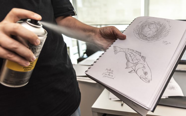 Paso 2: dibujo en lápiz