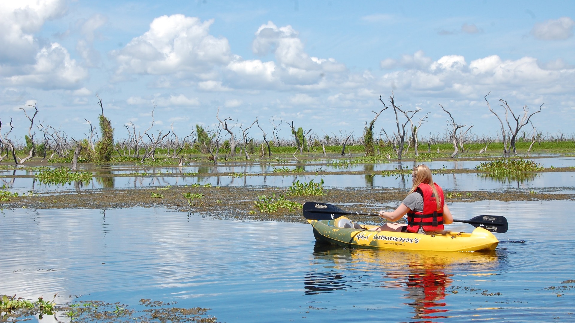 remando en el bañado