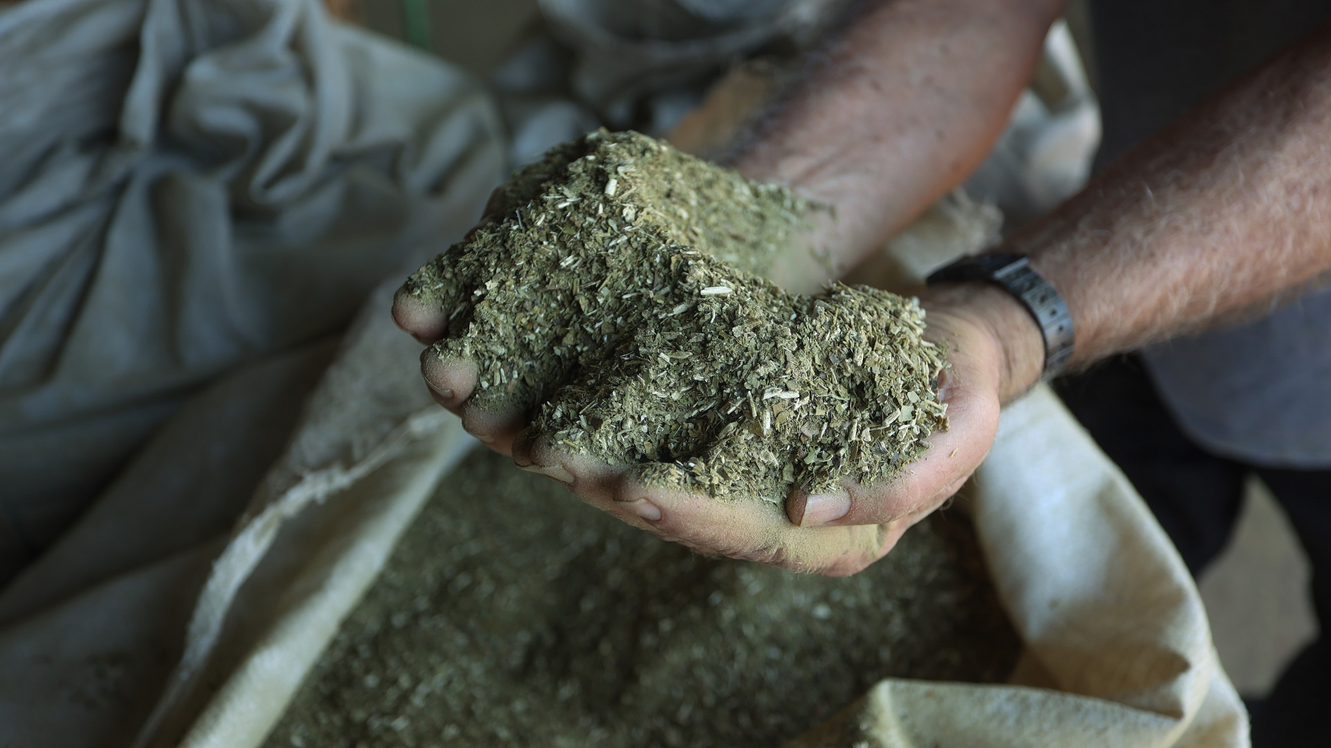 Yerba mate, cooperativa Campo Ramón