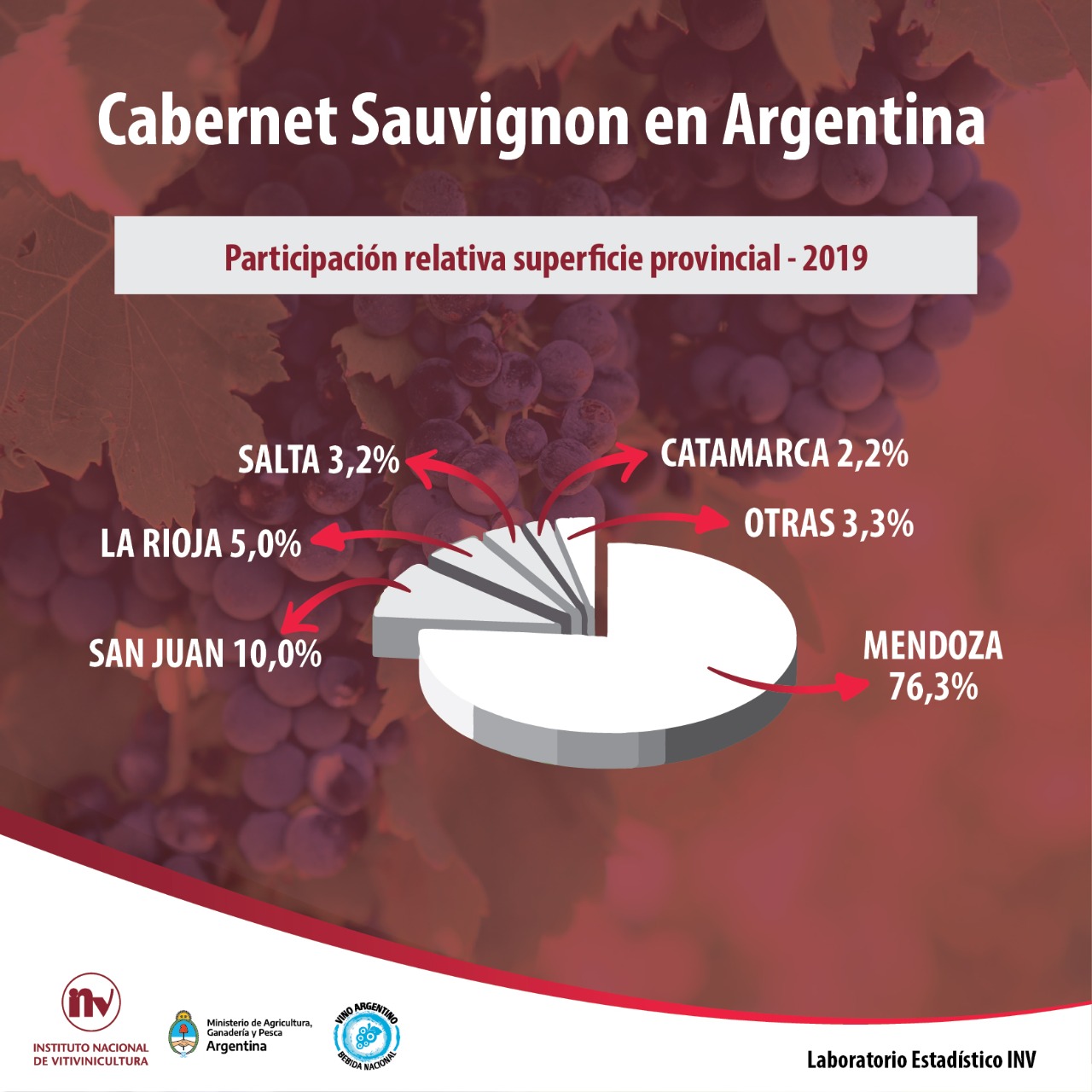 Informe de Variedad: Cabernet Sauvignon, su actualidad en Argentina
