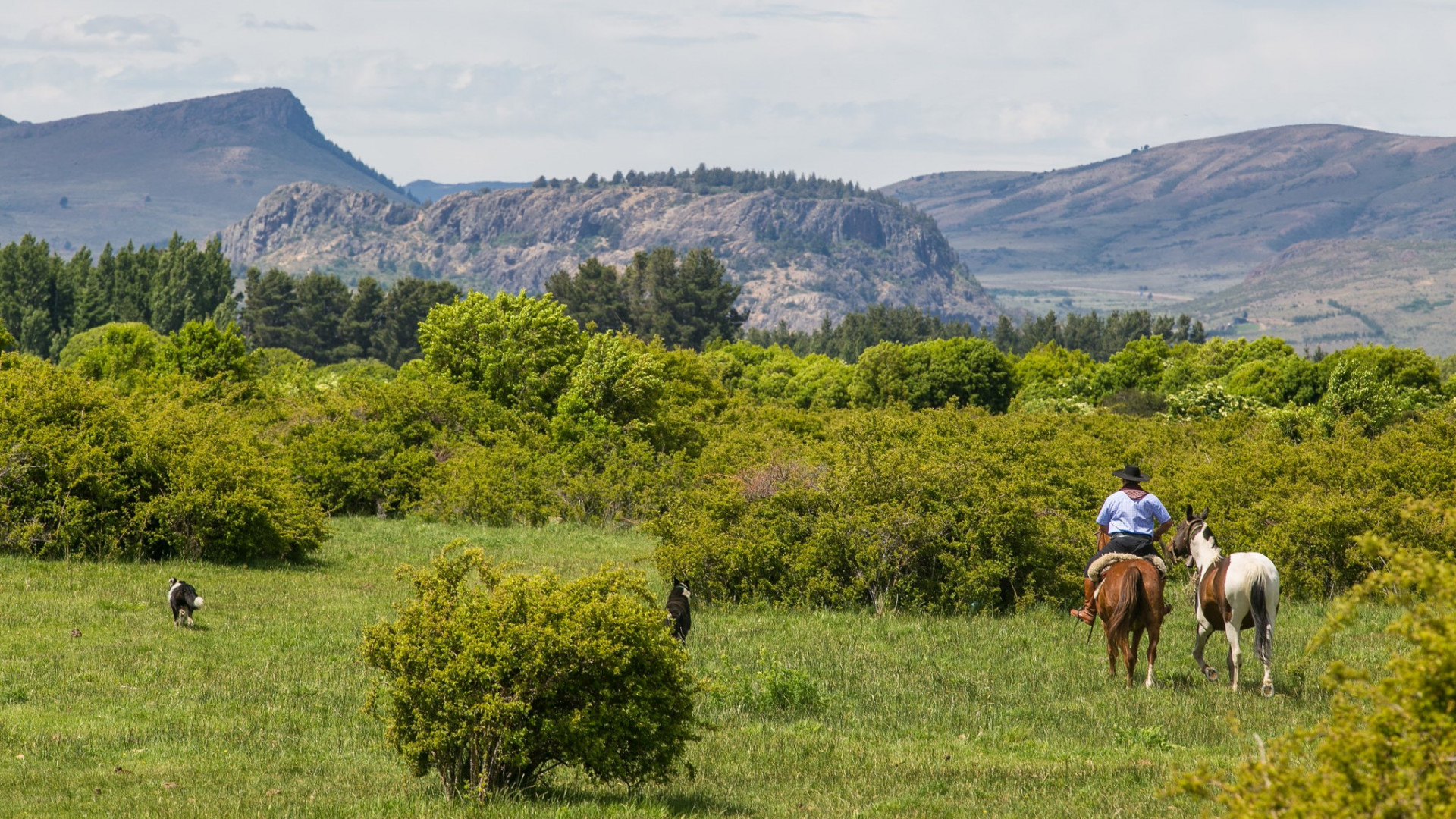 Cabalgatas en la Patagonia cabalgatas en la Patagonia