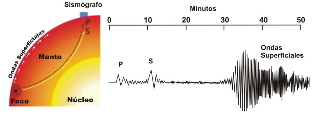 Figura 3: Generación de las Ondas Internas y Superficiales, ilustrando los diferentes trayectos y tiempos de arribo al sismógrafo