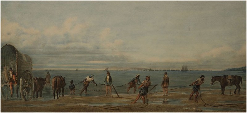 “Sacada de la red”. Acuarela sobre papel. Colección Museo Nacional de Bellas Artes.
