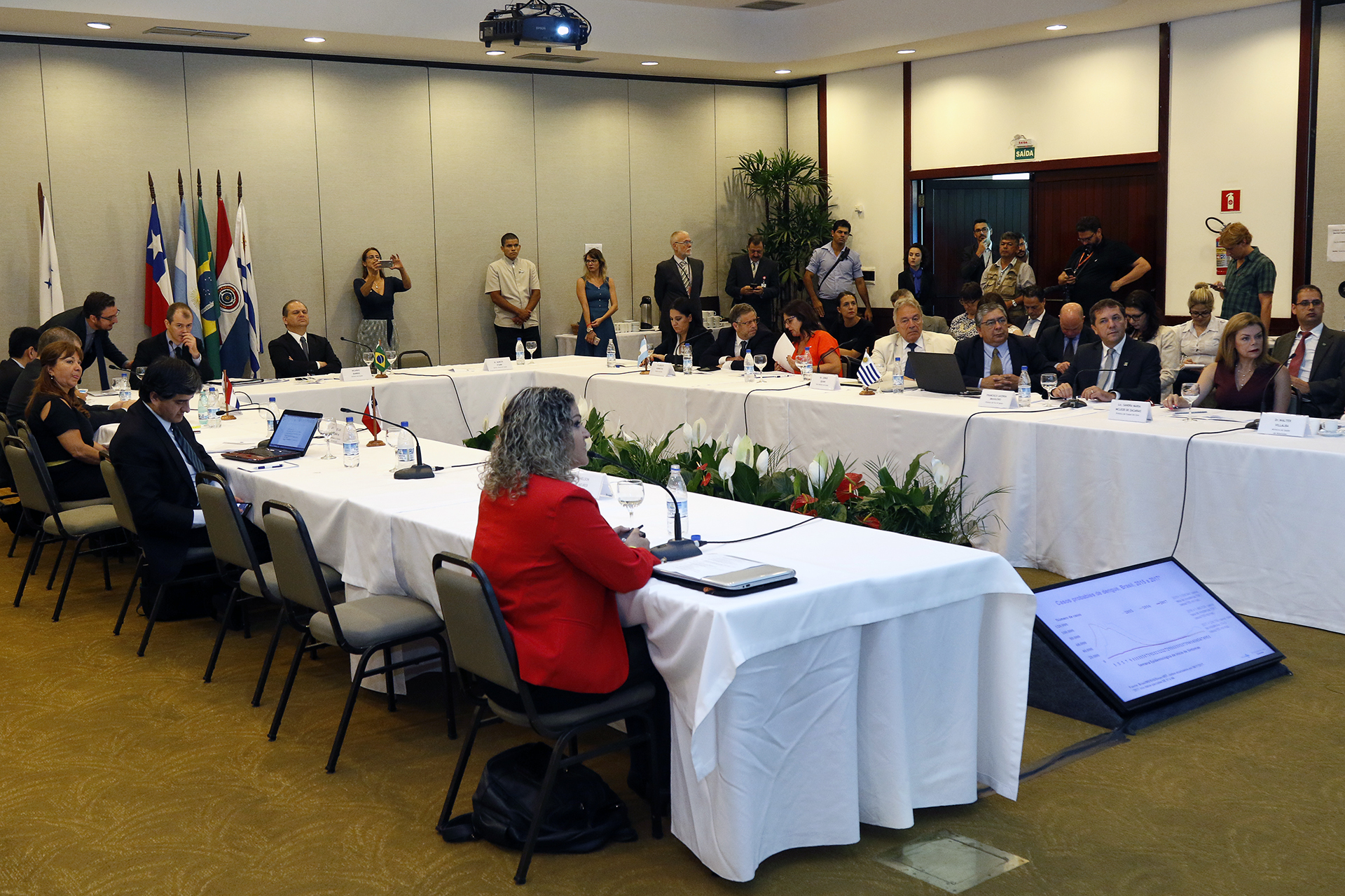 Reunión de Ministros de Salud del Mercosur 6