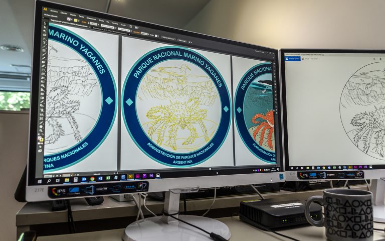 Paso 7: digitalización