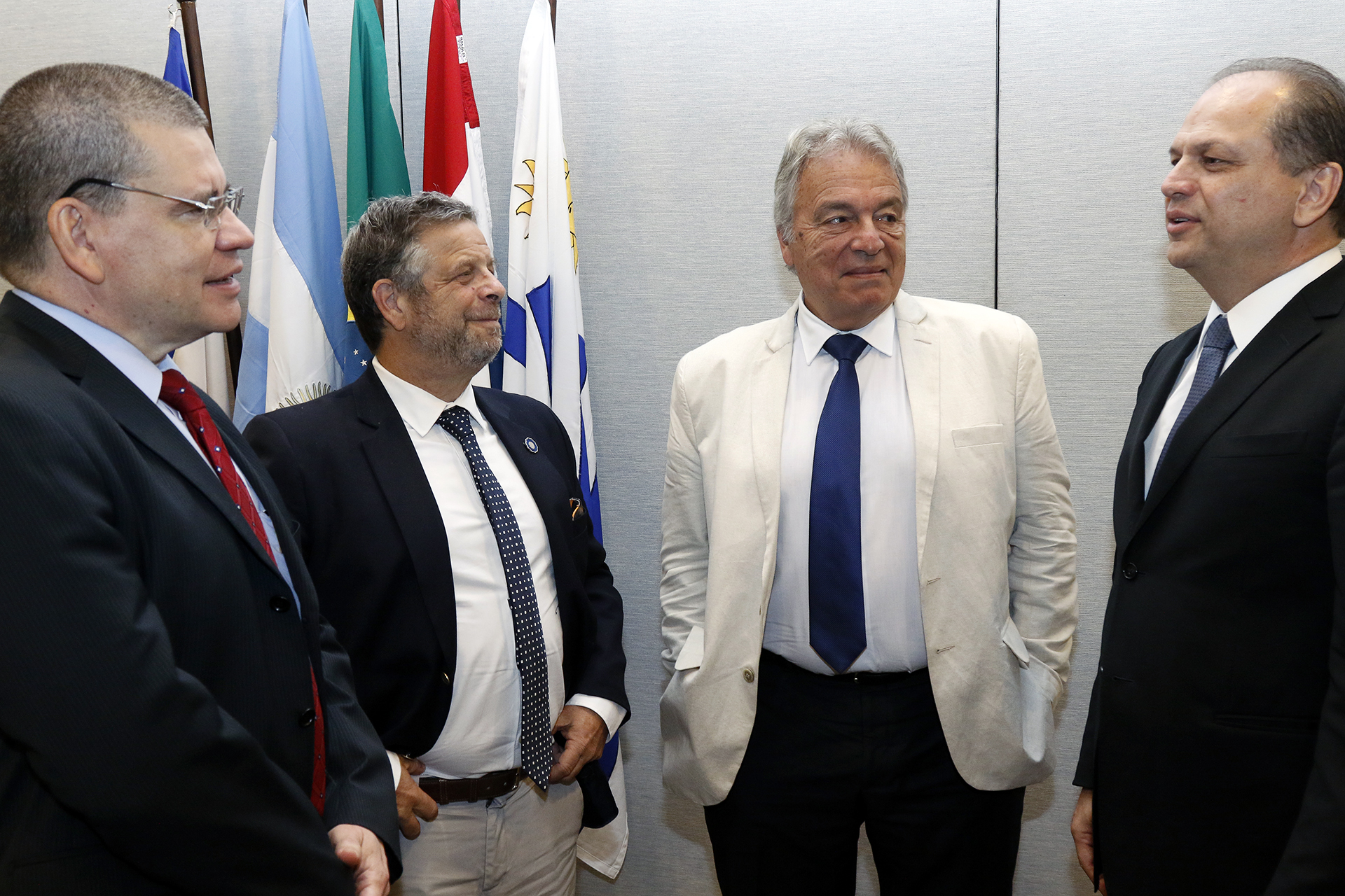 Reunión de Ministros de Salud del Mercosur 8