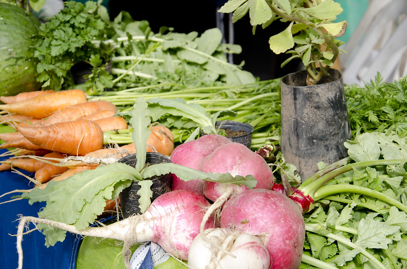 zanahorias y remolachas