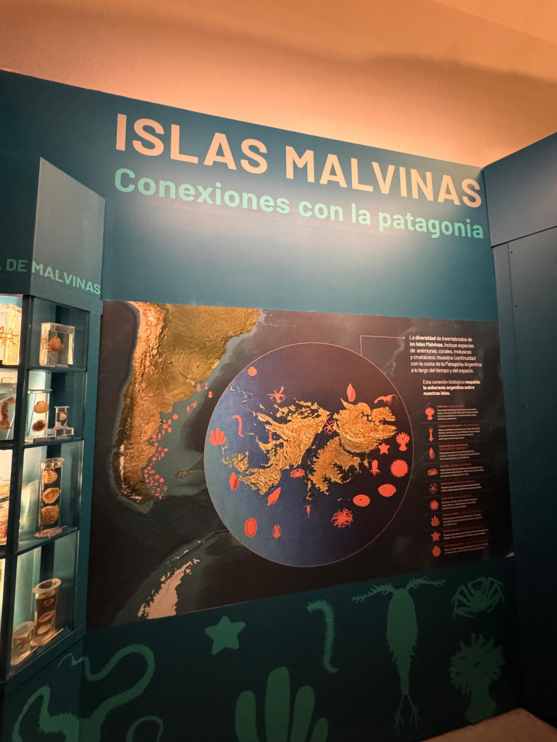 Islas Malvinas Museo La Plata 