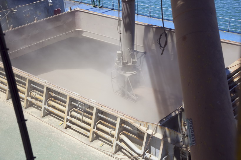 El trigo argentino vuelve a China y abre una nueva etapa para las exportaciones