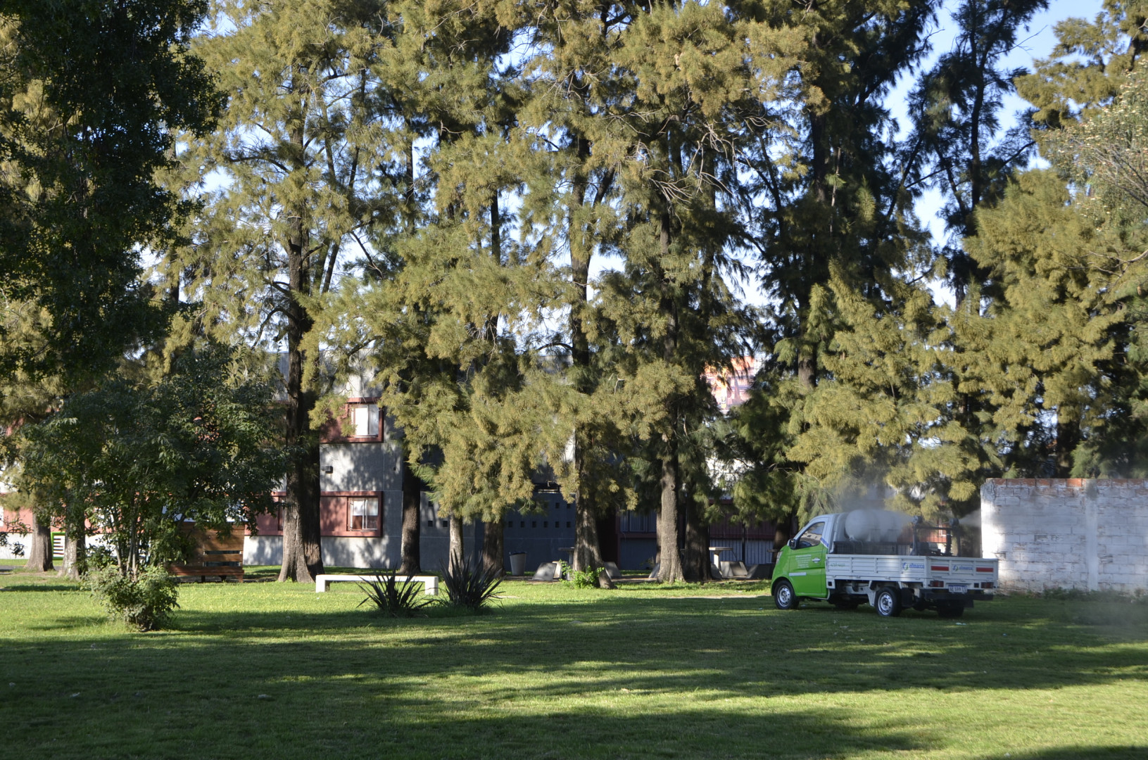 Jóven con ropa clara