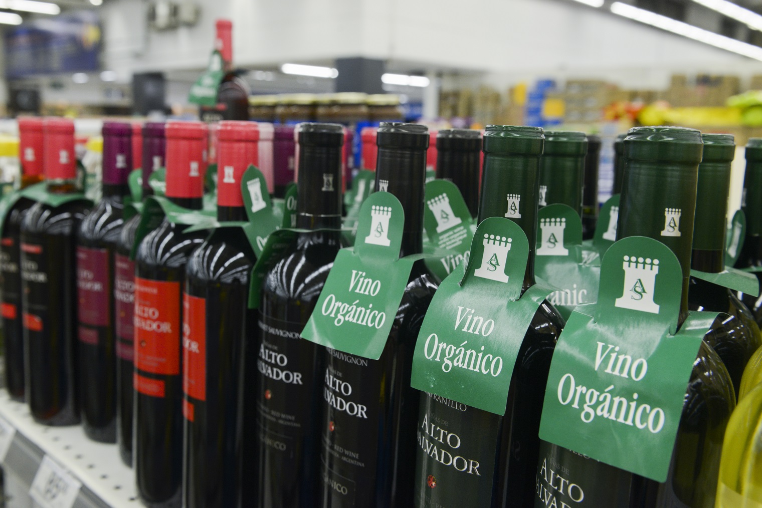 Exportaciones org&aacute;nicas: Argentina marca un r&eacute;cord hist&oacute;rico con un crecimiento del 31% en 2025
