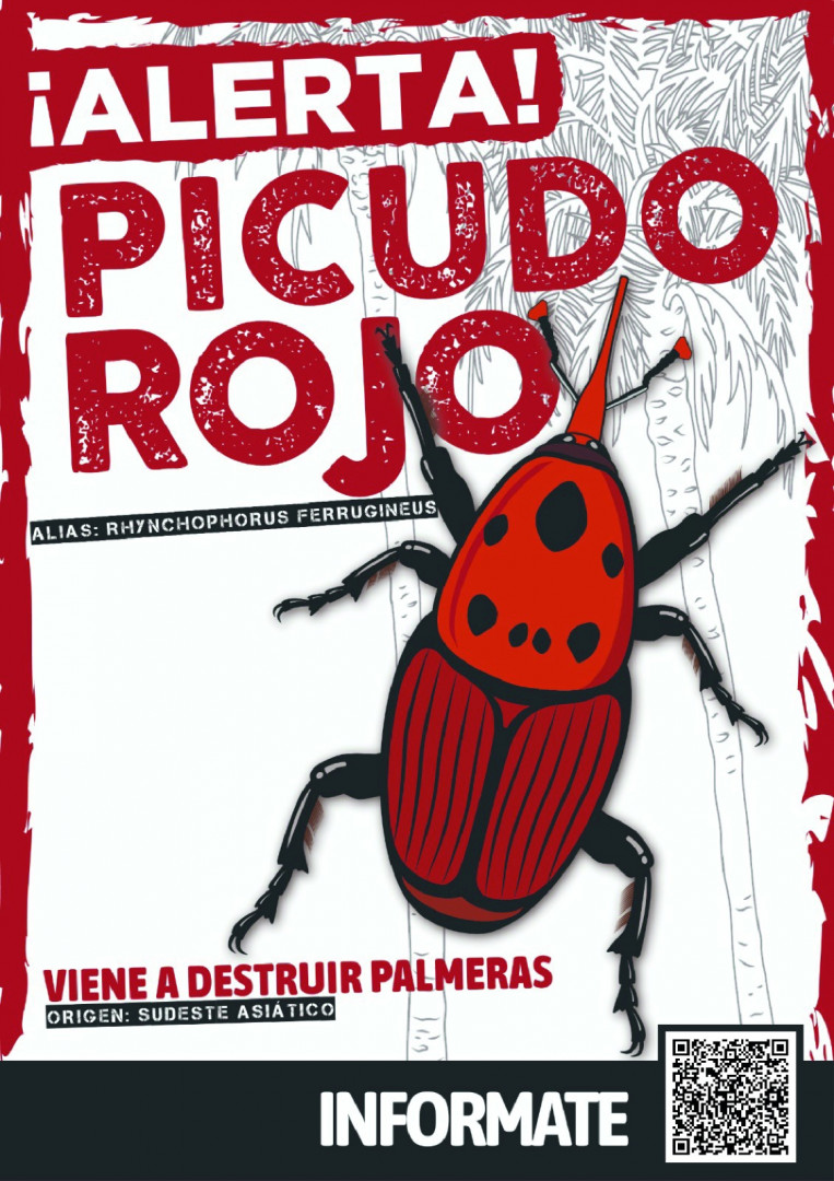 Afiche picudo rojo de las palmeras