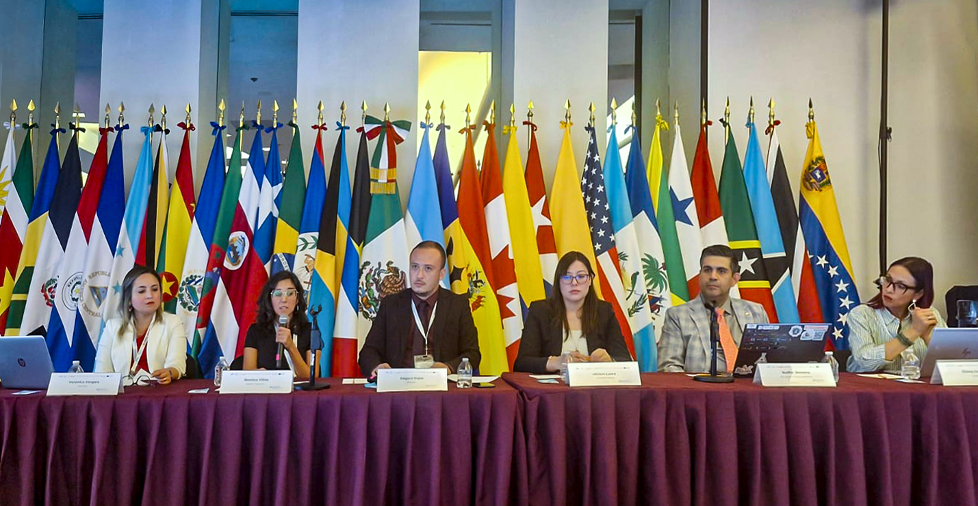 Romina Viñas disertando durante el panel de Vigilancia Posterior a la Comercialización.