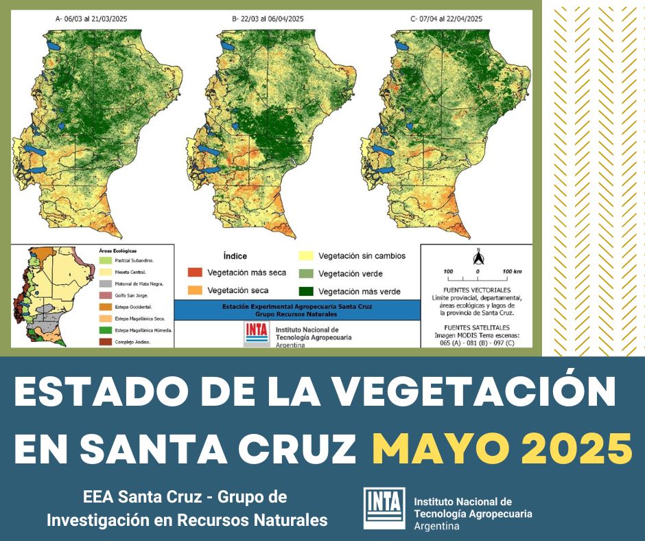 Portada informe