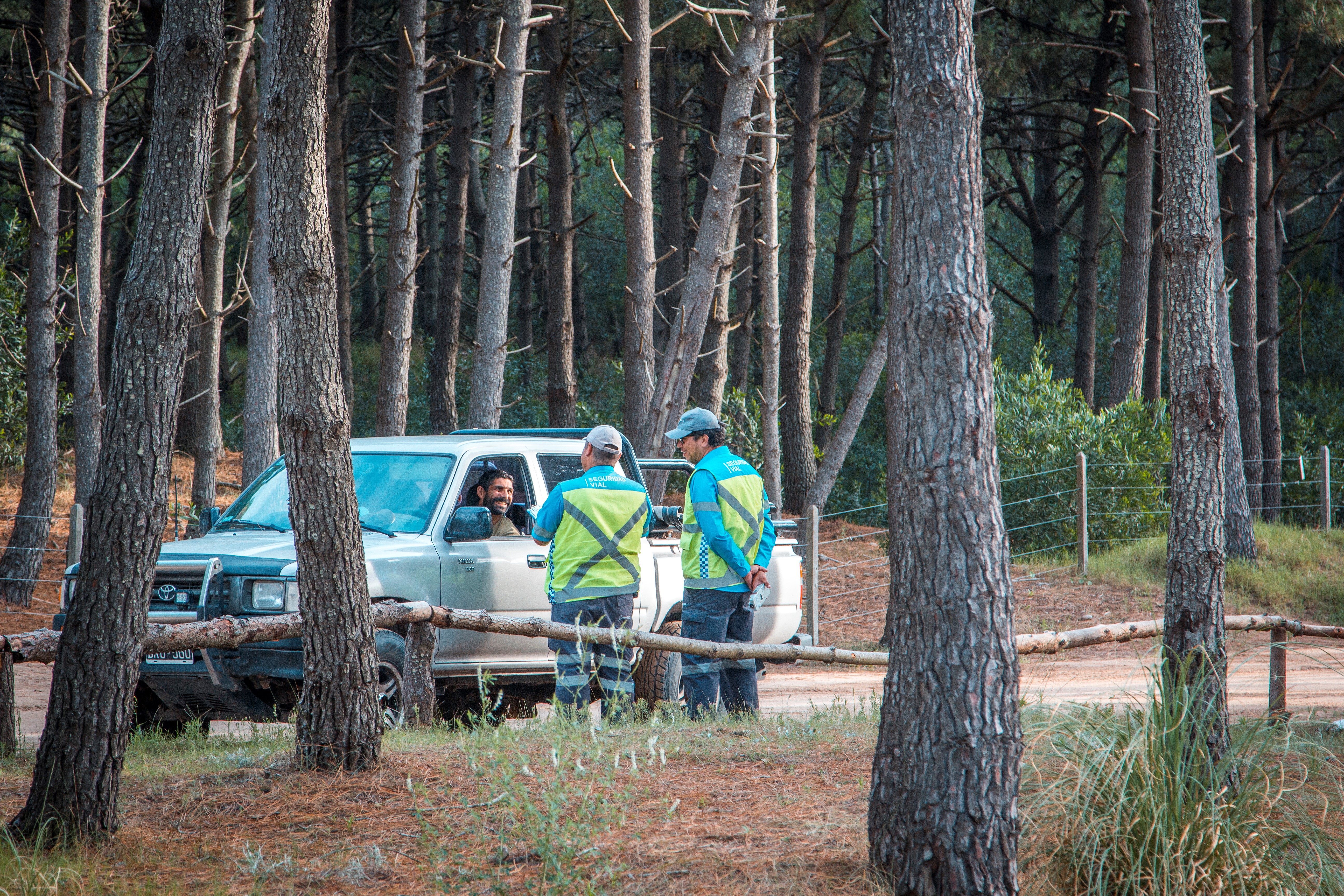 Operativo verano 2019 Operativo verano 2019