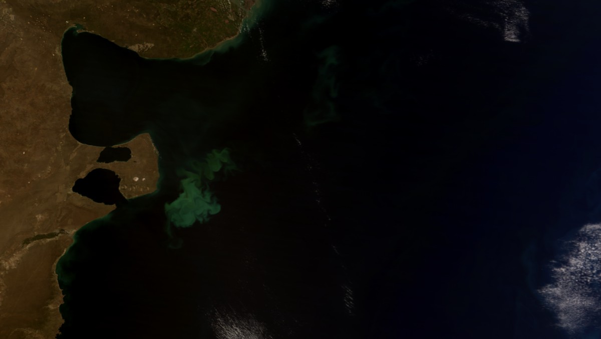 Frente de Península Valdés, Argentina – Terra MODIS – 20 de Marzo de 2012
