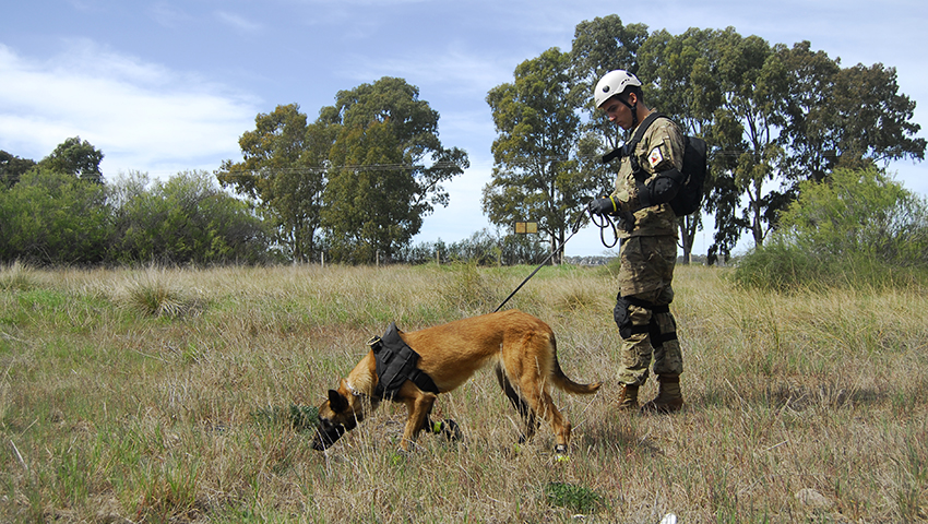 Batallón de Seguridad de la Base de Puerto Belgrano