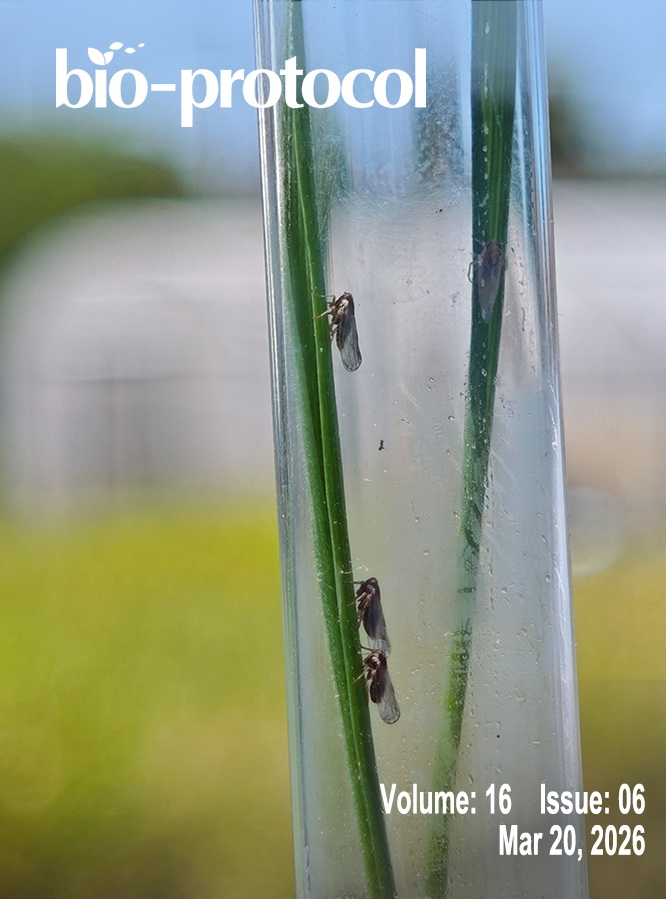 Maize; Maíz; Cordoba (Argentina); Fijivirus; Fulgoroidea; Cría Masiva; Mass Rearing; Mal de Río Cuarto; Planthoppers; Field Transmission; Delphacodes kuscheli; Insect Mass-rearing; Host Resistance; Cría Masiva de Insectos