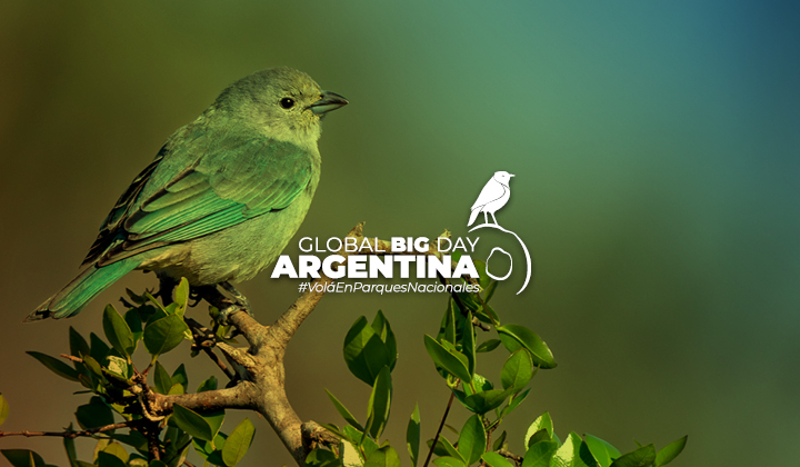 Global Big Day en Parques Nacionales