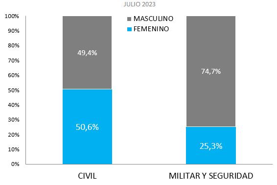Cuadro: Distribución porcentual de la ocupación clasificada en Personal Civil y Personal Militar y de Seguridad por sexo