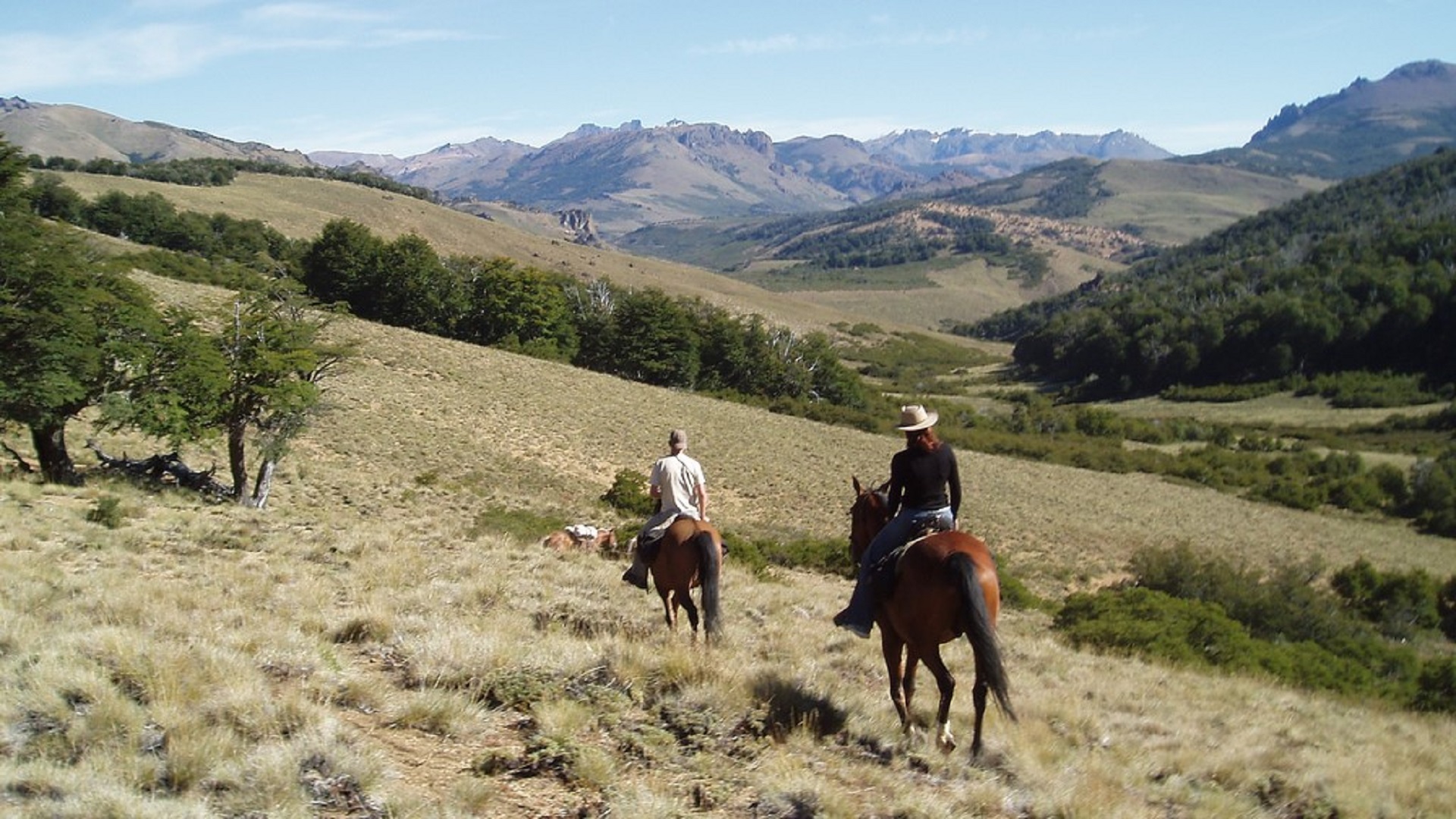 Paisaje de la meseta patagónica paisaje de la meseta patagónica