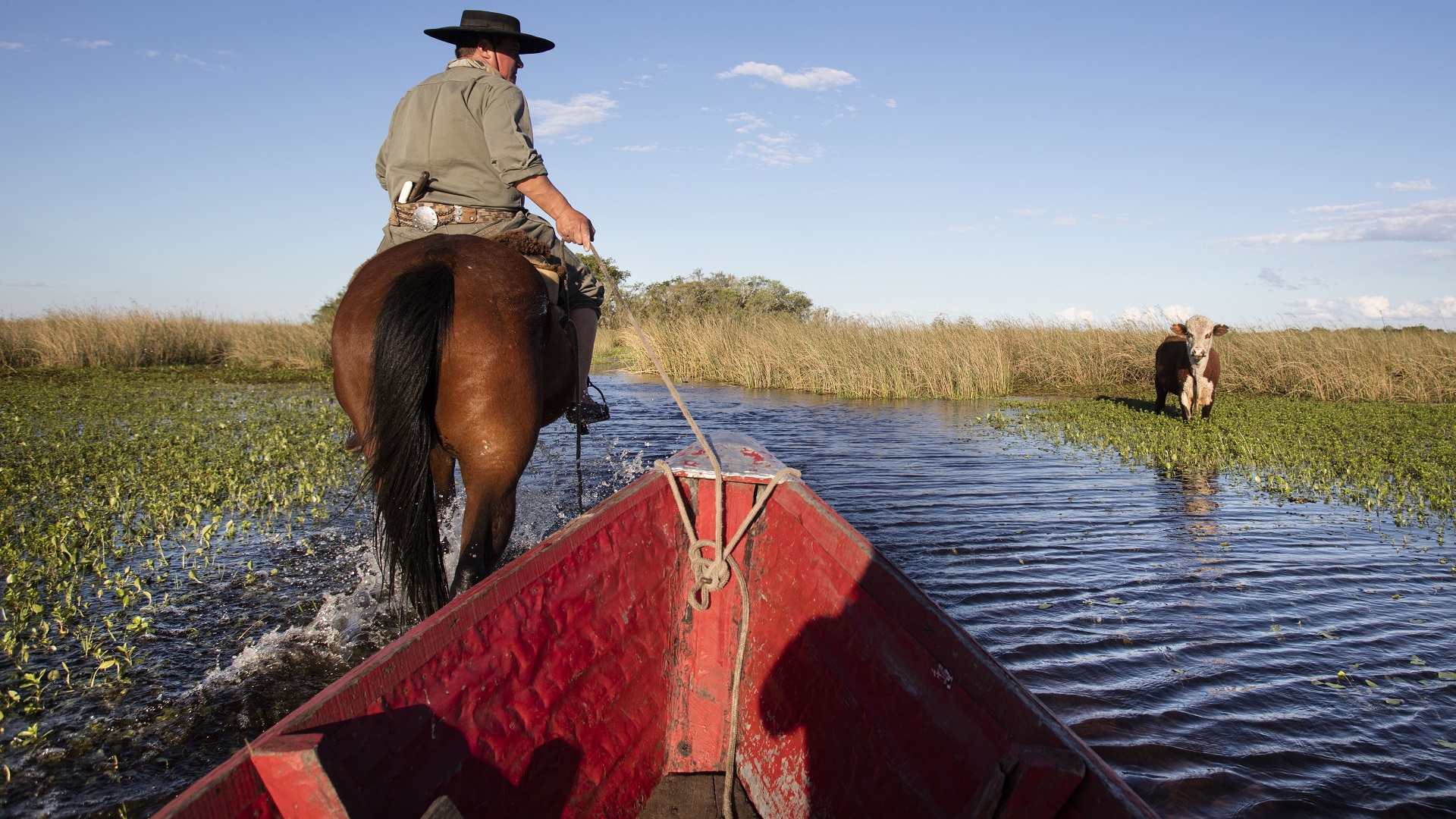 Paseo en canoa y a caballo por los esteros