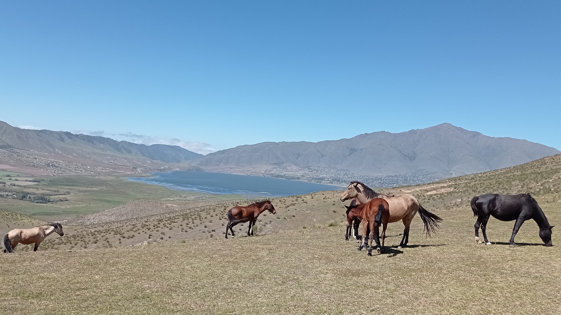 Cabalgata Tafí del Valle